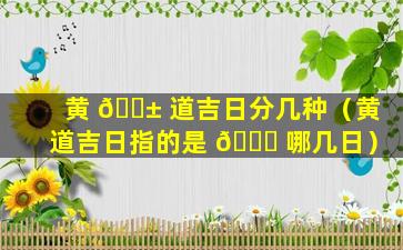 黄 🐱 道吉日分几种（黄道吉日指的是 🐝 哪几日）